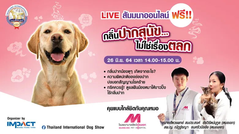 บริษัท อิมแพ็ค เอ็กซิบิชั่น แมเนจเม้นท์ จ...