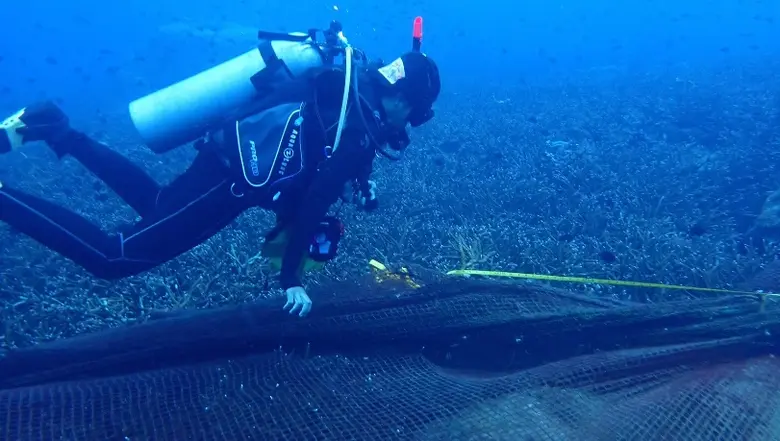 บริษัท ปตท.สำรวจและผลิตปิโตรเลียม จำกัด (...