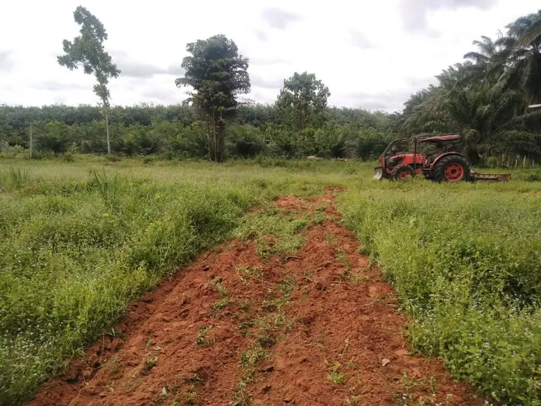 บจก.สวนทรายงาม ร่วมโครงการ "ปลูกไม้ยืนต้นและไม้เศรษฐกิจ" เพิ่มพื้นที่สีเขียวในชุมชน
