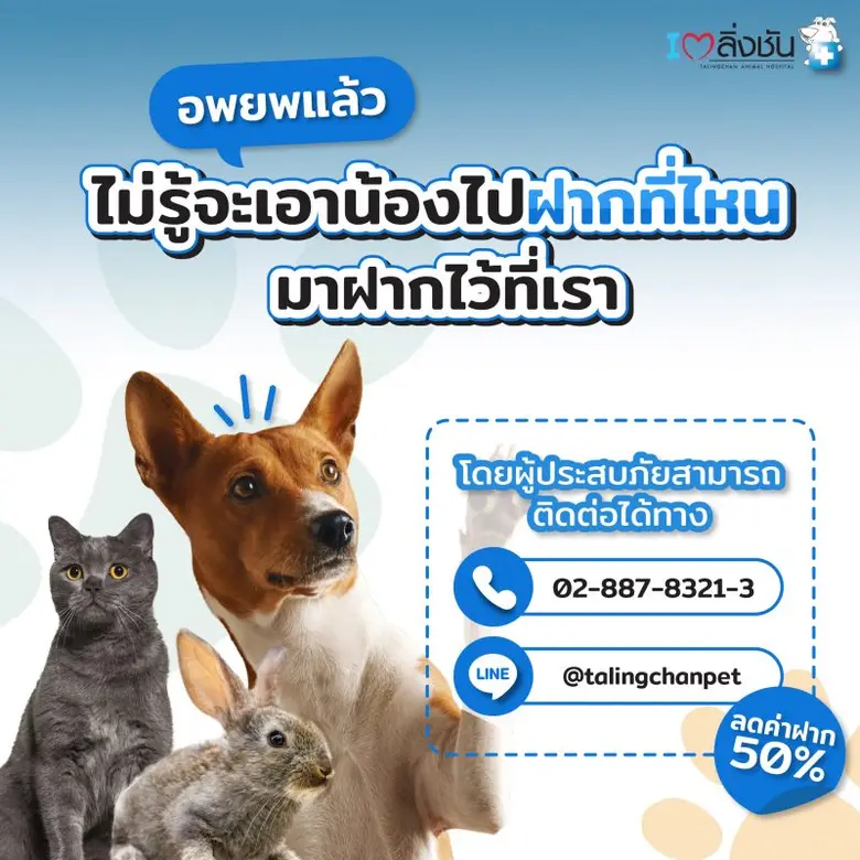 โรงพยาบาลสัตว์ตลิ่งชัน (Talingchanpet) ขอ...