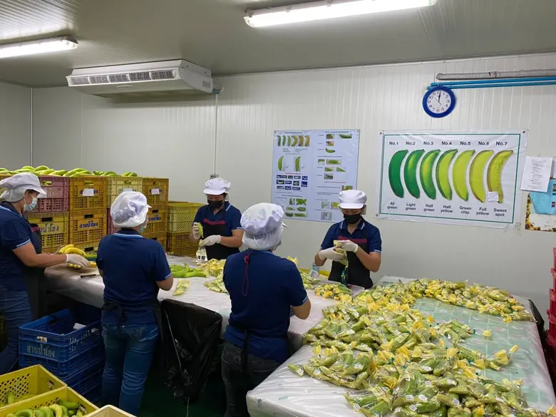 21 มิ.ย. 64 สถาบันพัฒนาฝีมือแรงงาน 18 อุดรธานี ฝึกอบรมสมาชิกกลุ่มฯในหลักสูตรการฝึกอาชีพเสริม สาขา เทคนิคการเพิ่มผลิตภาพแรงงาน