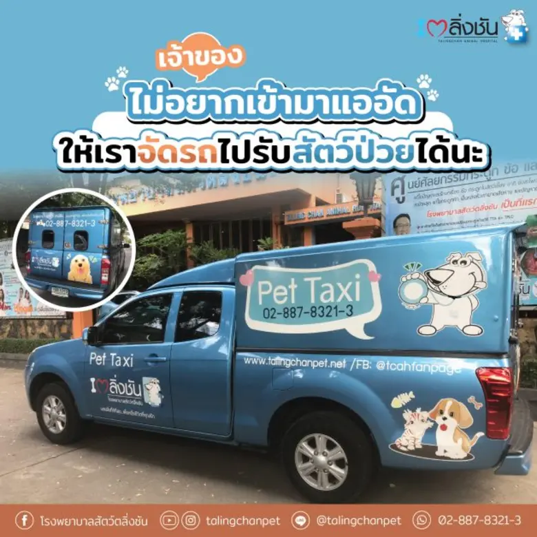 โรงพยาบาลสัตว์ตลิ่งชัน (Talingchanpet) ตอ...