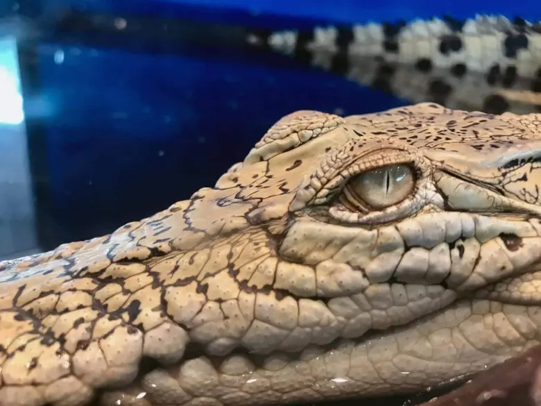 นายเฉลิมชัย สุวรรณรักษ์ รองอธิบดีกรมประมง...