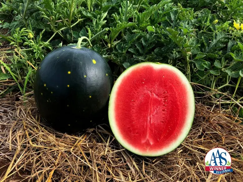 อีกหนึ่งความภูมิใจของ บริษัท เจียไต๋ จำกั...