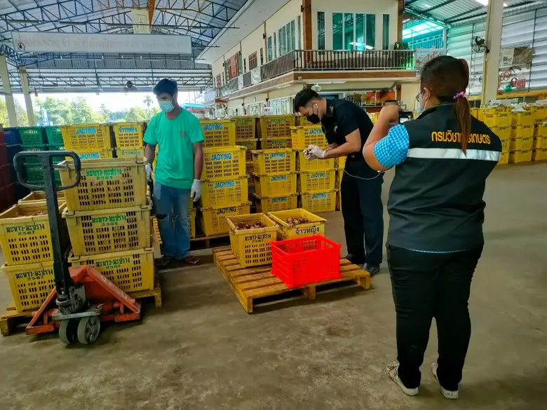 ตามคาด จีนไฟเขียวสวน ล้งผลไม้ไทยสอบผ่านพร้อมเน้นย้ำให้เข้มงวดศัตรูพืชและเชื้อโควิด