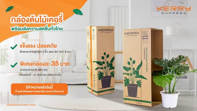 เคอรี่ เอ็กซ์เพรส เจาะเทรนด์รักต้นไม้มาแรง เปิดตัวกล่องต้นไม้เป็นครั้งแรก  เพิ่มประสบการณ์จัดส่งต้นไม้ในยุคนิวนอร์มอล