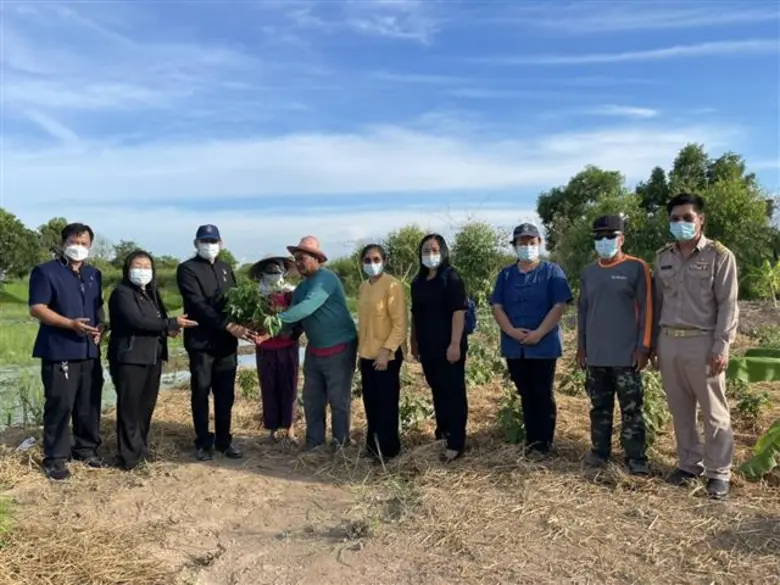 พช.นครพนม ลงพท. โคก หนอง นา - ชวนปลูกฟ้าทะลายโจรสู้โควิด-19