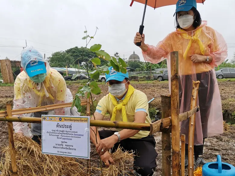 พช.เชียงราย น้อมนำเศรษฐกิจพอเพียง Kick off "เอามื้อสามัคคี" เฉลิมพระเกียรติ ร.10