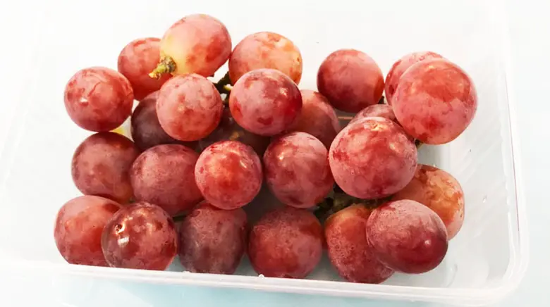 ขอขอบคุณ! มูลนิธิสร้างสรรค์สังคม มอบผลไม้ สนับสนุนบุคลากรทางการแพทย์และอาสาสมัคร ศูนย์วัคซีน มหาวิทยาลัยศรีปทุม