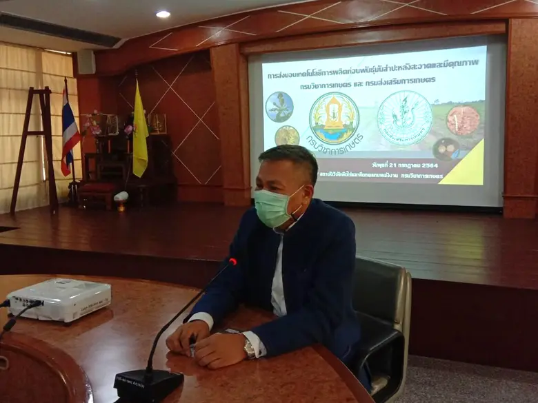 กรมวิชาการเกษตร ป้องปัญหาโรคใบด่างเกรงจะท...