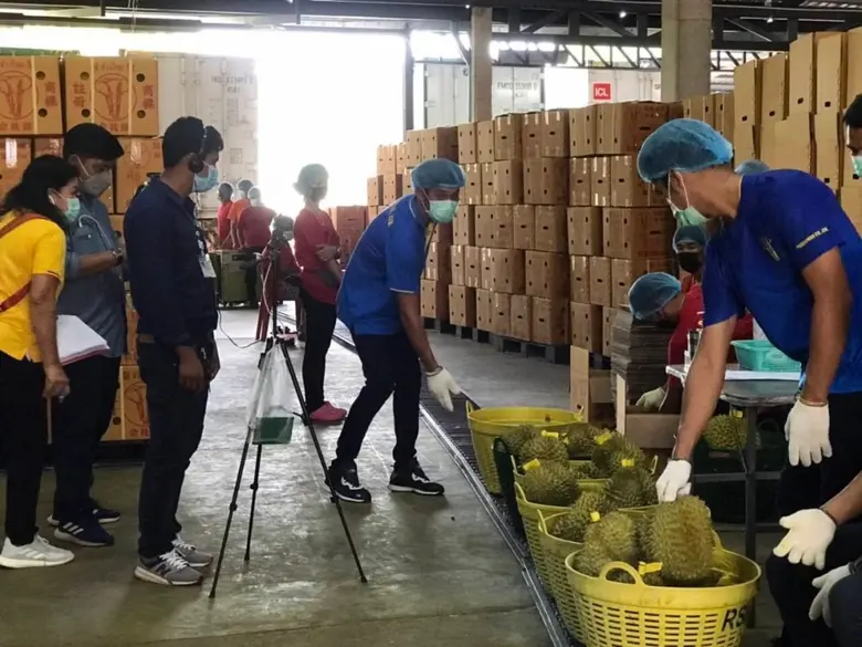 มนัญญา สั่งกรมวิชาการเกษตรย้ำผู้ประกอบการ ปฏิบัติตามมาตรการเข้มงวดป้องเชื้อโควิดติดผลไม้ไปจีน