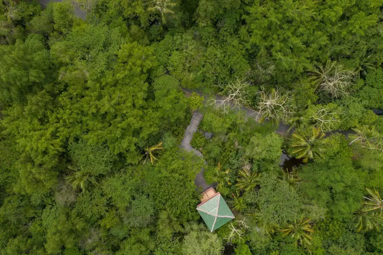 บริษัท ปตท.สำรวจและผลิตปิโตรเลียม จำกัด (...