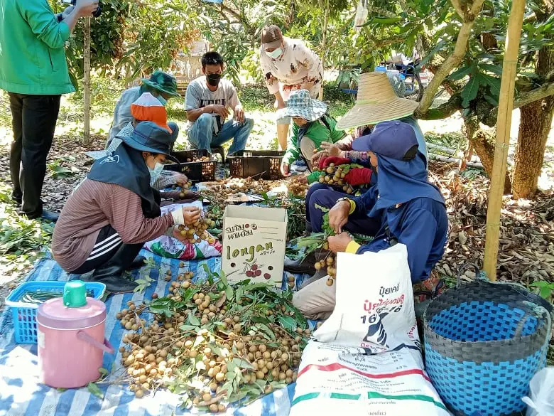 วันที่ 5 สิงหาคม 2564 นายถาวร หมู่ผึ้ง ผู...