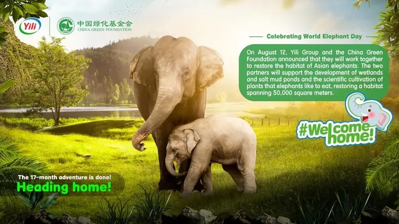 China's wild elephants from Yunnan are no...