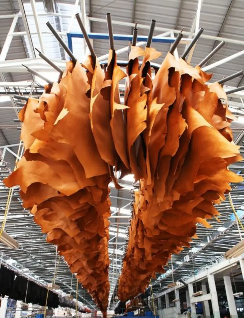 CPL เผยกำไรสุทธิครึ่งปีแรกโต 128% ลุ้นครึ่งปีหลังออเดอร์โรงฟอกหนังฟื้นตัว-เล็งออกสตาร์ทโปรเจ็คท์ New S-Curves ภายในปีนี้