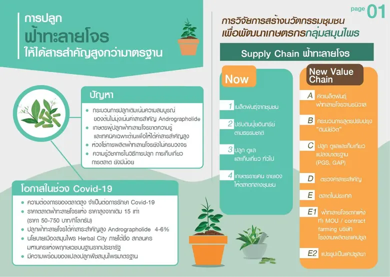 สืบเนื่องจากสถานการณ์การแพร่ระบาดของไวรัส...