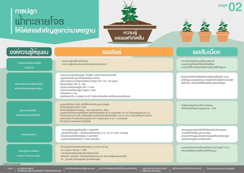 นักวิจัย ม.เกษตร สกลนคร ร่วมกับ 6 ภาคีเครือข่าย ใช้นวัตกรรมพัฒนาฟ้าทะลายโจรตามมาตรฐาน GAP จนได้สารแอนโดรกราโฟไลด์เพิ่มขึ้น 4-6% พร้อมปั้นแบรนด์ "ภูพานไพล"