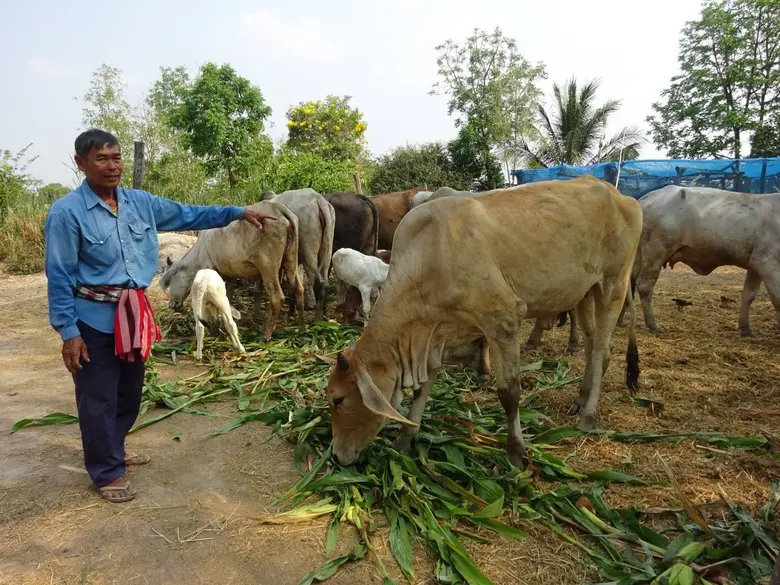 สไกร พิมพ์บึง เลขากองทุนฟื้นฟูฯ คนใหม่ เปิดเกมรุกช่วยเกษตรกรสมาชิกกำหนด 4 กลุ่มเป้าหมายเพื่อช่วยแก้หนี้และฟื้นฟูอาชีพ พร้อมปรับให้บริการแบบ one stop service