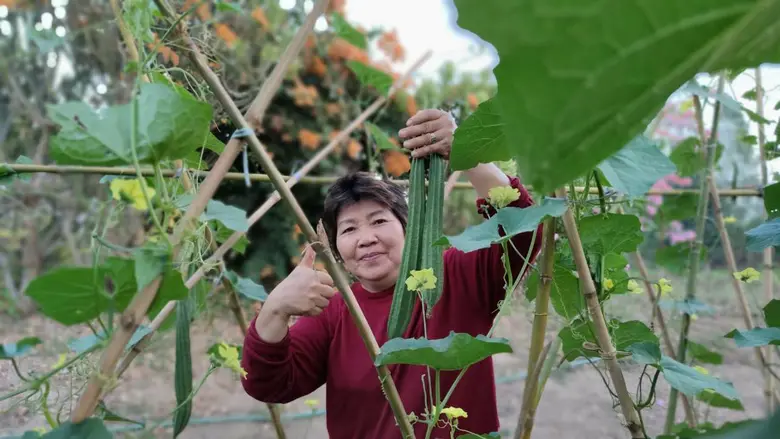 ปรับตัวสร้างความแตกต่างให้ชวนซื้อ "ไข่เค็มอัญมณี" สีโดนตา อร่อยโดนใจไข่แดงยางมะตูม พอกสมุนไพรเพิ่มคุณค่า โซเดียมต่ำรักษาสุขภาพ
