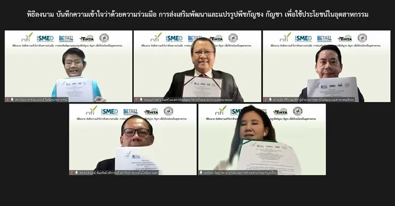 สมาคมการค้าอุตสาหกรรมกัญชงแห่งประเทศไทย (...