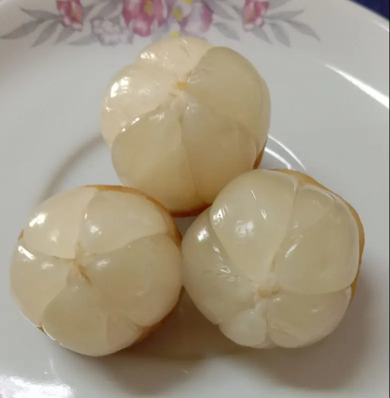 'ลองกองวังขุม' แปลงใหญ่ จ.สุราษฎร์ธานี คุณภาพมาตรฐาน GAP รสชาติเป็นเอกลักษณ์เฉพาะตัว สศท.8 เชิญชวนบริโภค ขณะนี้ออกตลาดแล้ว