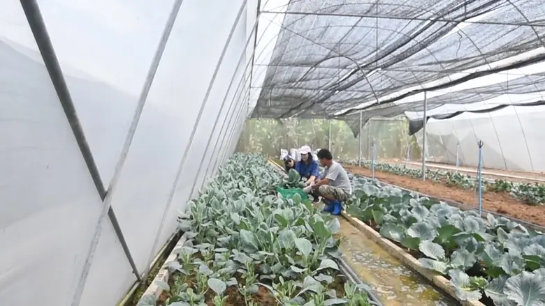 เกษตรฯ ปรับแผนตรวจแปลงช่วงโควิดผ่านระบบออนไลน์