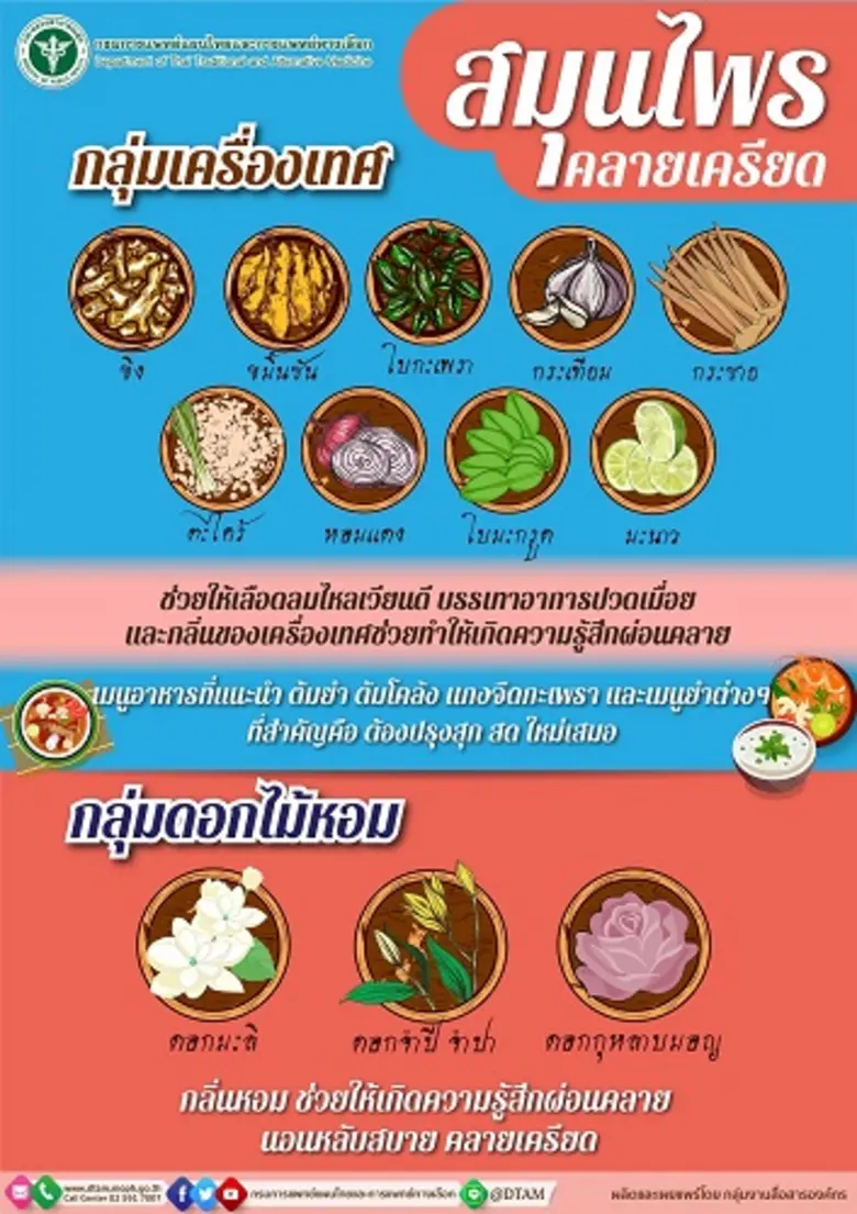 กรมการแพทย์แผนไทยฯ แนะ กลิ่นบำบัด จากพืช ...