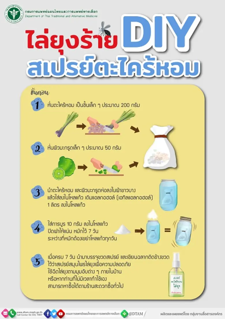 แพทย์แผนไทยเผย 6 สมุนไพรช่วยไล่ยุง พร้อมแนะวิธีการทำสเปรย์ตะไคร้หอม DIY สกัดกั้นโรคไข้เลือดออกช่วงฤดูฝน