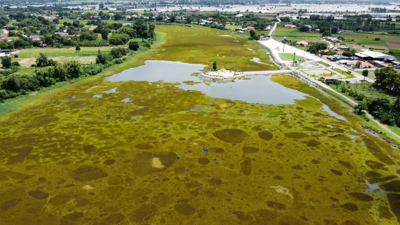 กรมโยธาธิการและผังเมือง ร่วมกับ อบต.บ้านใ...