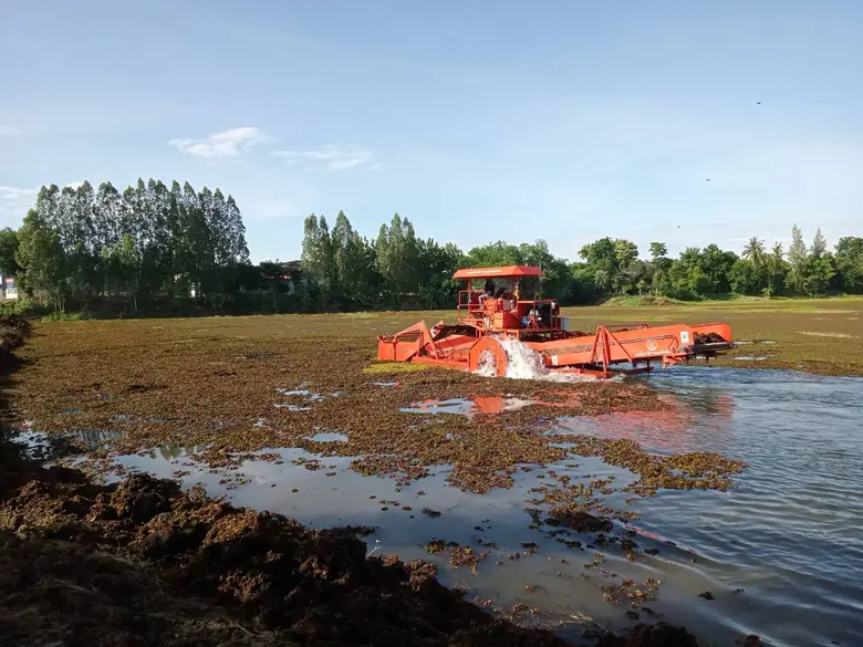 กรมโยธาธิการและผังเมือง ร่วมกับ อบต.บ้านใหม่ อำเภอท่าม่วง จังหวัดกาญจนบุรี เร่งกำจัดผักตบชวาเปิดทางน้ำไหล