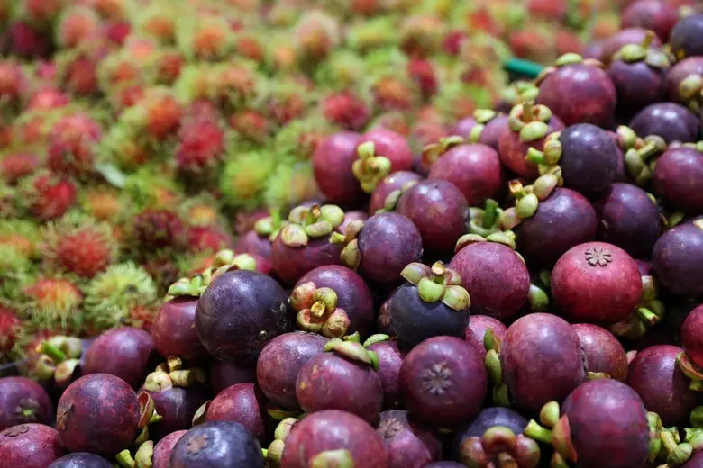 แม็คโคร จับมือ กรมการค้าภายใน เดินหน้าสนับสนุนชาวสวนผลไม้ ช่วยระบายผลผลิต ถึงสิ้นเดือนตุลาคม ฝ่าวิกฤตโควิดไปด้วยกัน