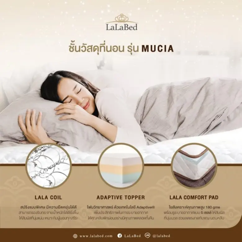 พักผ่อนอย่างมีคุณภาพ นอนสัมผัสนุ่มไปกับ Mucia ที่นอนสปริง LaLaBed