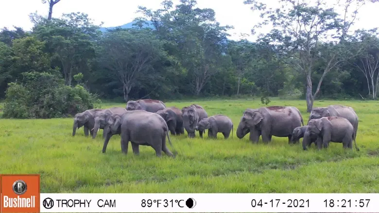 by H.E. General Chalermchai Sitthisad (Re...