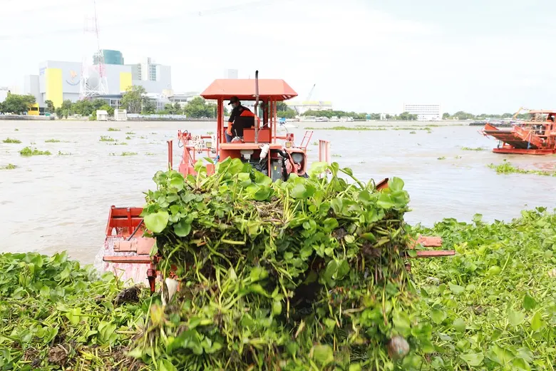 กรมโยธาธิการและผังเมือง สนับสนุนเรือกำจัด...