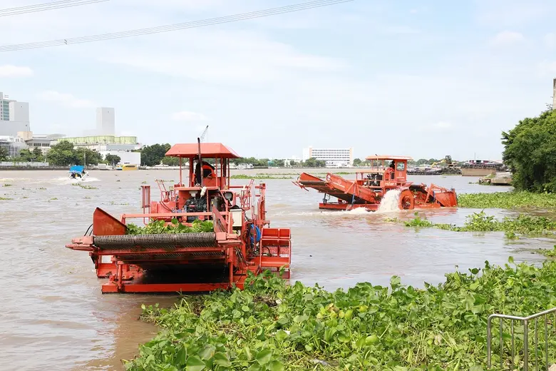 กรมโยธาฯ ส่งเรือเสริมกำลัง กทม. กำจัดผักตบชวาในแม่น้ำเจ้าพระยา...