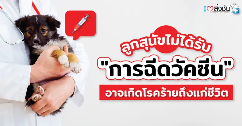 ช่วงนี้เทรนด์การเลี้ยงสัตว์มีจำนวนเพิ่มขี...