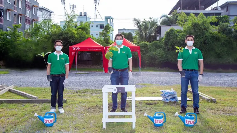 ด้วยคุณค่าของ "ต้นไม้" ที่สามารถเป็นเกราะ...