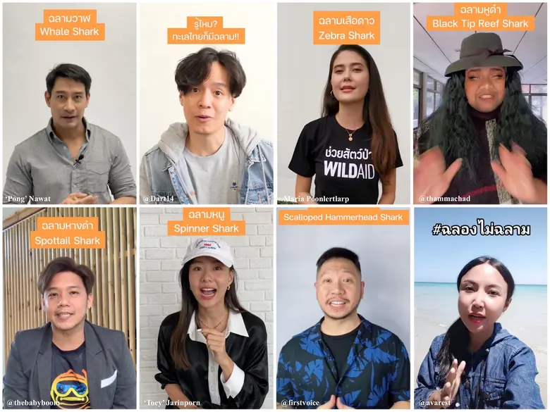 องค์กรไวล์ดเอด (WildAid) จับมือ TikTok แพลตฟอร์มสร้...