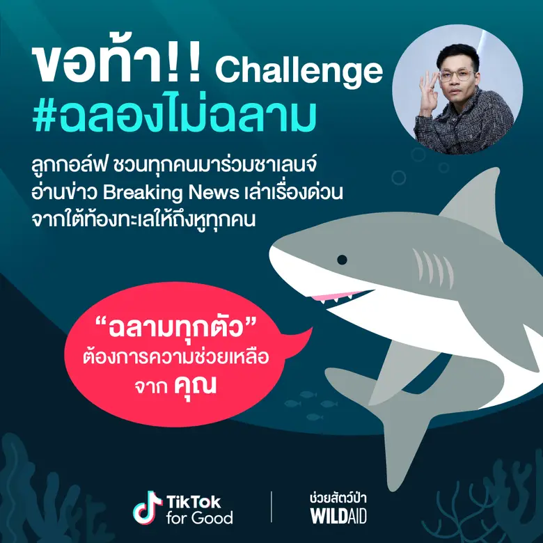ไวล์ดเอด และ TikTok ท้าทำชาเลนจ์ #ฉลองไม่ฉลาม ให้เรื่องฉลามถึง 'หู' ทุกคน