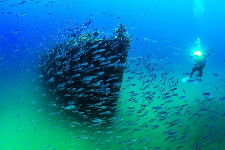 บริษัท ปตท.สำรวจและผลิตปิโตรเลียม จำกัด (...