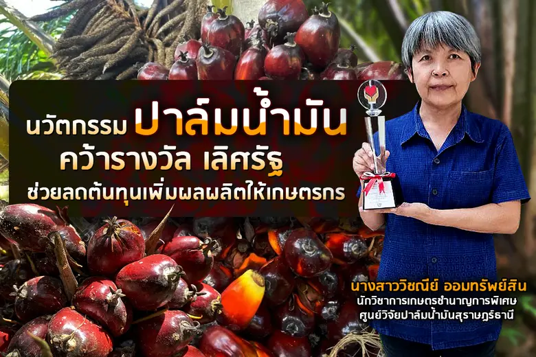 กรมวิชาการเกษตร รวมชุดเทคโนโลยีผลิตปาล์มน...