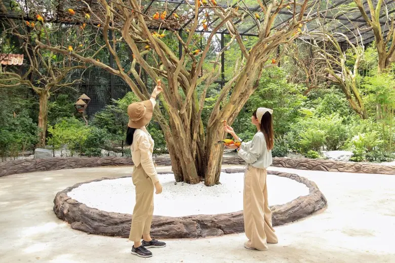 'ซาฟารีเวิลด์' กลับมาเปิดให้บริการ หลังปิดยาวนานกว่า 5 เดือน!!  ซุ่ม 2 โครงการใหม่ 'Tree House Aviary & Kitchen' และ 'Open Air Studio' พร้อมต้อนรับ 9 ตุลาคมนี้