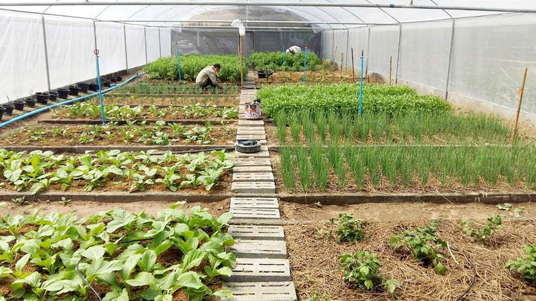 มูลนิธิเจริญโภคภัณฑ์พัฒนาชีวิตชนบท มุ่งมั่นสานภารกิจ "ขจัดความยากจน" ยกระดับคุณภาพชีวิต หนุนชุมชนพึ่งตนเอง