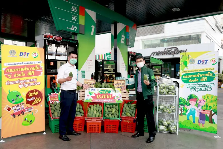 PTG อุดหนุนมะม่วงกว่า 200 ตัน แจกลูกค้า ช่วยชาวสวนแก้ปัญหาราคาตก