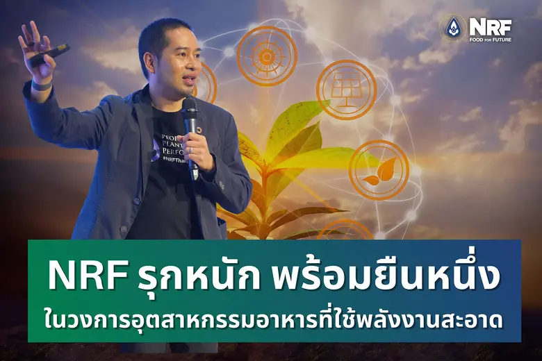 บริษัท เอ็นอาร์ อินสแตนท์ โปรดิวซ์ จำกัด ...