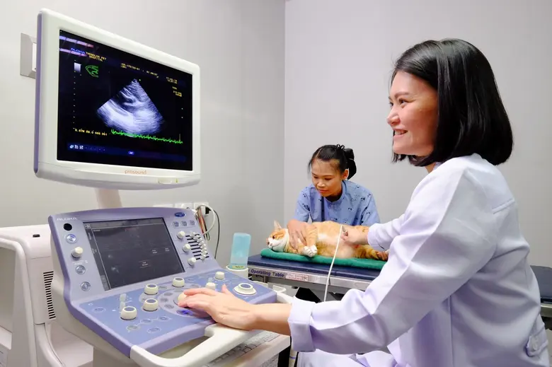 "โรงพยาบาลสัตว์ทองหล่อ" โชว์นวัตกรรม ตอบโจทย์การรักษาโรค ยืดอายุสัตว์เลี้ยงแสนรัก