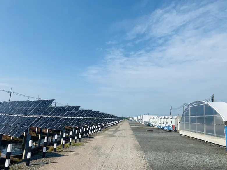 บริษัท เจริญโภคภัณฑ์อาหาร จำกัด (มหาชน) ห...