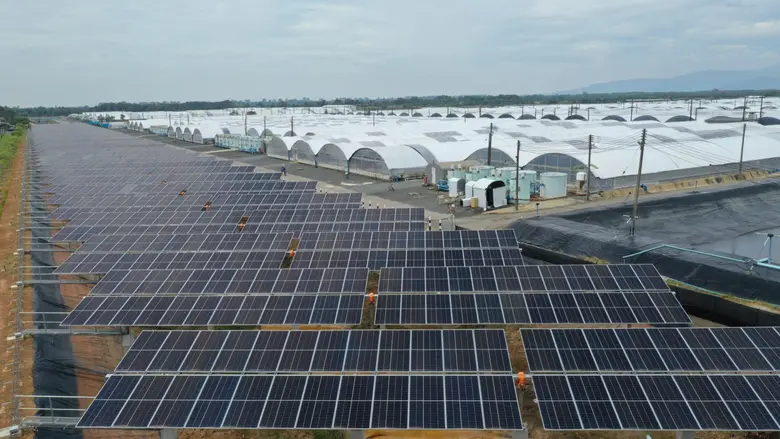 ซีพีเอฟ มุ่งพัฒนาห่วงโซ่การผลิตกุ้งเป็นมิตรกับสิ่งแวดล้อม เดินหน้าเพิ่มใช้พลังงานสะอาด