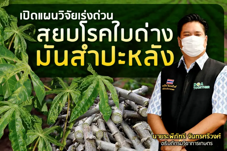กรมวิชาการเกษตร กางแผนโครงการวิจัยเร่งด่ว...
