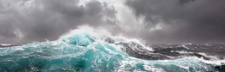 The company's recently launched transform...